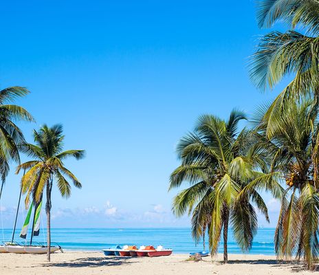 Strand mit Palmen