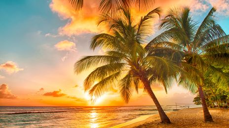 Sonnenuntergang am Karibik-Strand
