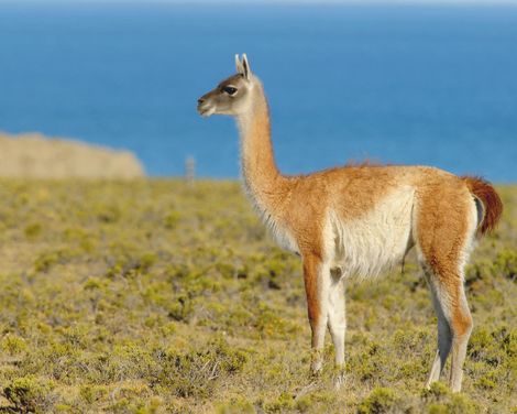 Unvergessliche Momente zwischen Inkastätten & Tropen-2