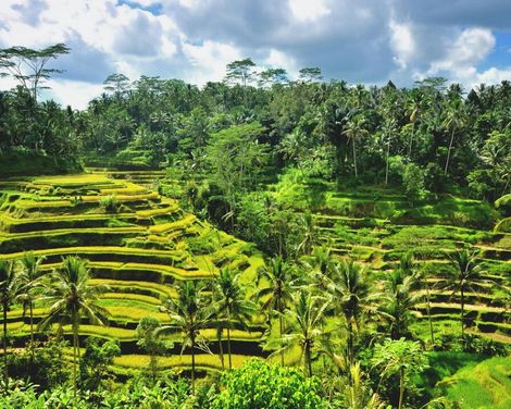 Rundreise ab Jakarta bis Denpasar