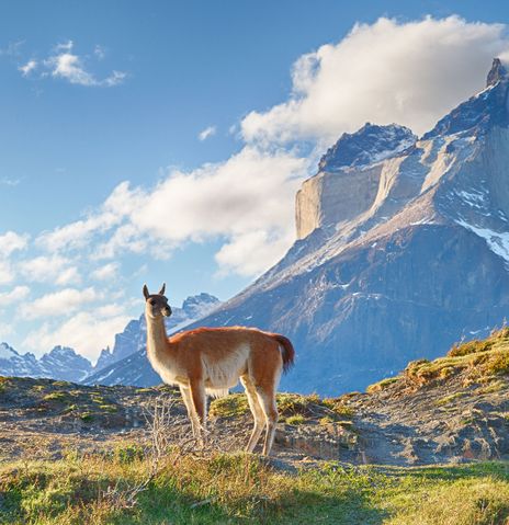 Gebirgszug in Patagonien in Chile