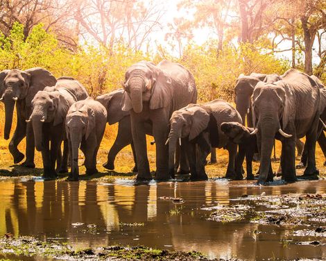 Kleingruppen-Rundreise von Windhoek bis Victoria Falls