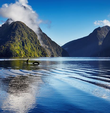 Milford Sound in Neuseeland
