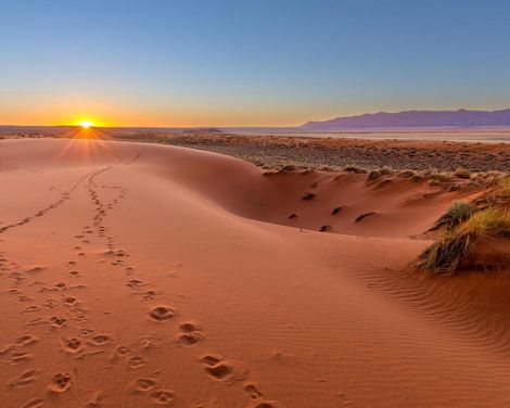 Zwischen Wüste, Wildnis und Ozean-0