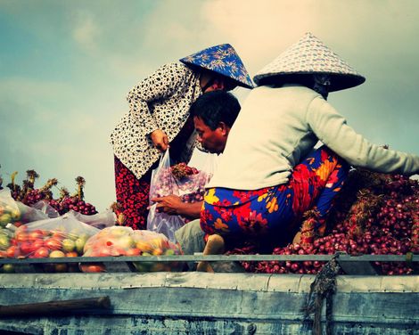 Magische Momente zwischen Tempeln, Regenwald und Wasserwegen-1