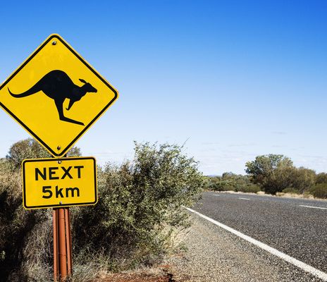 Känguru-Schild in Australien