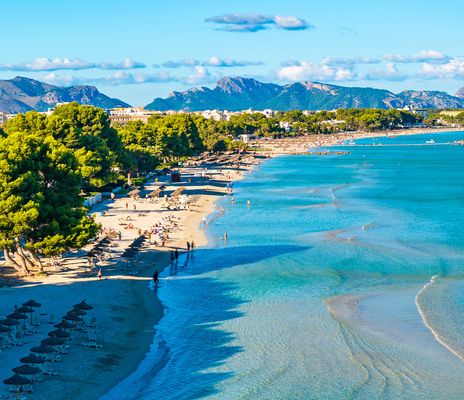 Weitläufiger Sandstrand Playa de Muro auf Mallorca mit flach abfallendem Meer und Pinien im Hintergrund