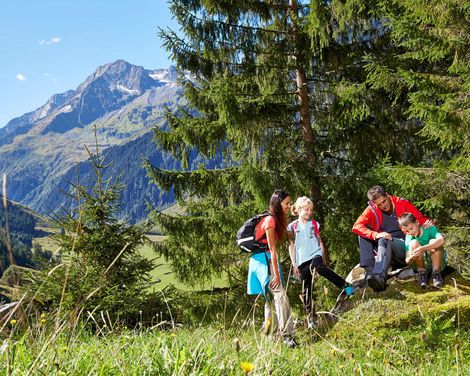 Sporthotel Kogler in Mittersill