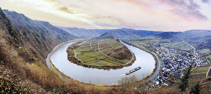 Panoramablick auf die Moselschleife bei Bremm mit Weinbergen, Mosel und umliegender Landschaft
