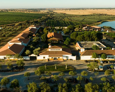 Hotel Rural Vila Gale Alentejo Vineyards-0