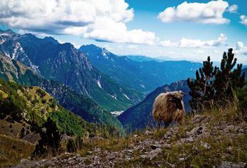 Albanien, Nordmazedonien & Kosovo