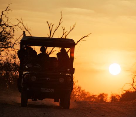 Safari in Botswana