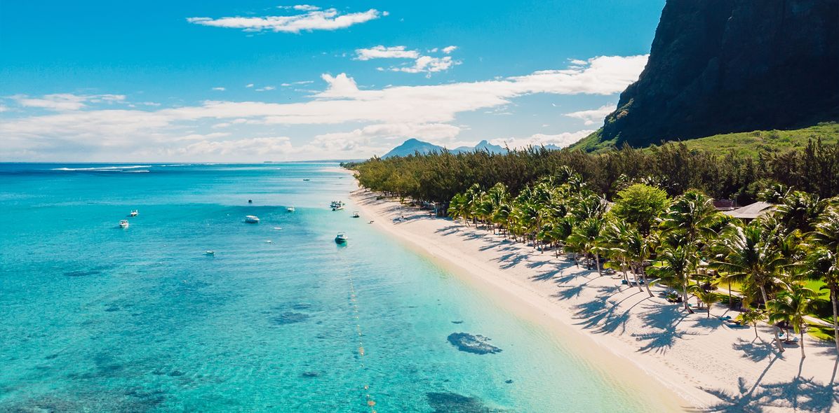Paradiesischer Palmenstrand mit türkisfarbenem Wasser auf Mauritius