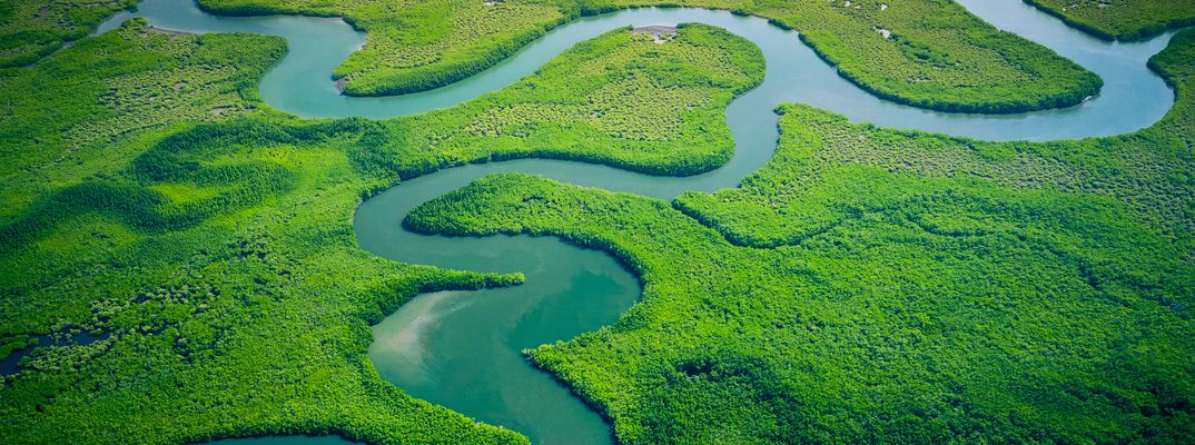 Luftaufnahme des Abuko-Nationalparks mit Flussläufen in Gambia