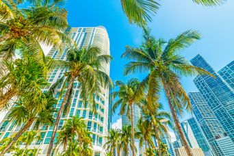 Hochhäuser in Miami