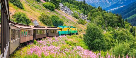 Historische Eisenbahn fährt durch grüne Berglandschaft in Alaska