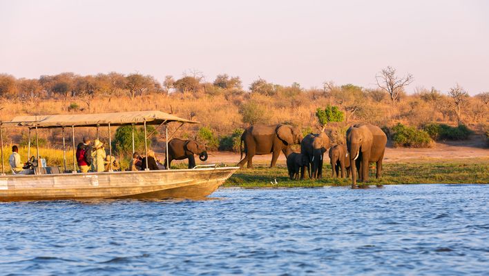 Tierbeobachtung im Chobe-Nationalpark