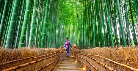 Frau in traditioneller asiatischer Kleidung geht durch dichten Bambuswald über einen Holzsteg