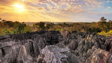 Tsingy Nationalpark bei Sonnenuntergang