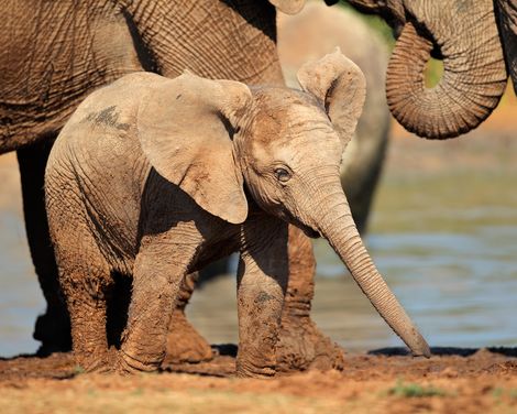 Vier Länder, unzählige Facetten zwischen Natur, Kultur und Tierwelt-0