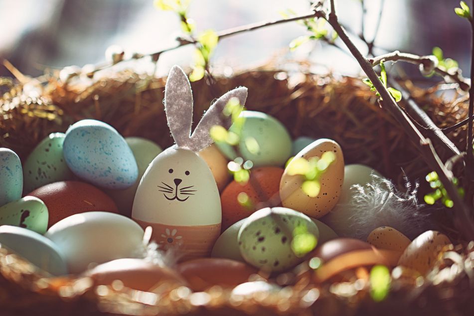 Ostereier in einem Osternest