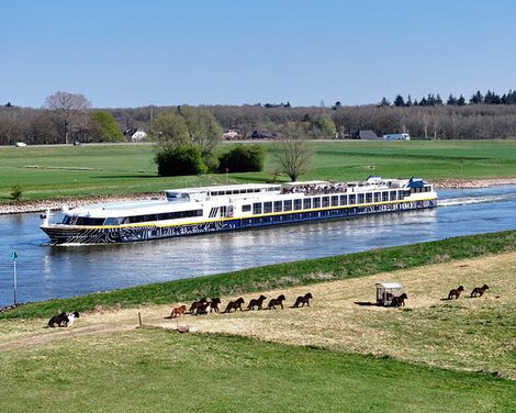 Kreuzfahrt mit der MS Elegant Lady ab/an Koblenz