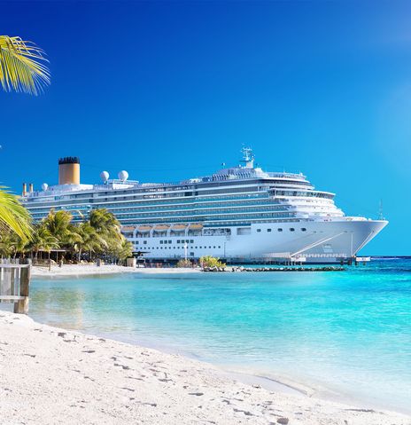 Strand mit Palme und Kreuzfahrtschiff