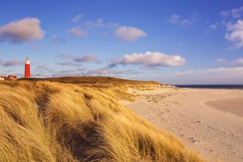 Weite Sanddünen an der Nordseeküste in Nordholland