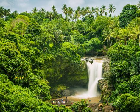 Von Reisterrassen zur Entspannung am Strand-3