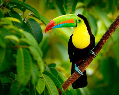 Kreuzfahrt mit der Costa Deliziosa ab/an Savona inkl. Flüge-1