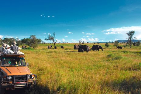 Serengeti-Nationalpark in Tansania 