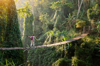 Wanderer auf einer Brücke im Regenwald 