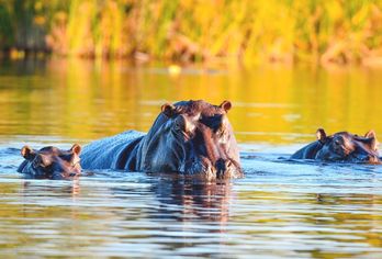Namibia, Botswana & Simbabwe