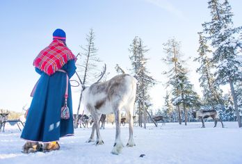 Schweden - Lappland