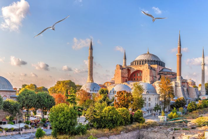 Außenansicht der Hagia Sophia in Istanbul mit Kuppeln und Möwen vor blauem Himmel