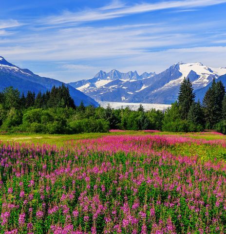 Landschaft in Alaska