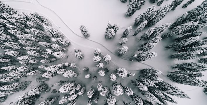 Luftaufnahme eine schneebedeckten Landschaft mit Blick auf Baumkronen und Loipe für Langlaufen