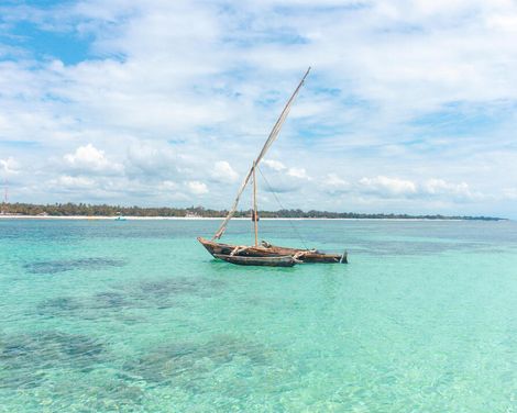 Von der Savanne zum Ozean-3