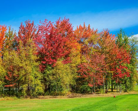 Rundreise von Toronto bis Québec und Kreuzfahrt mit Norwegian Jewel von Québec bis Philadelphia-1