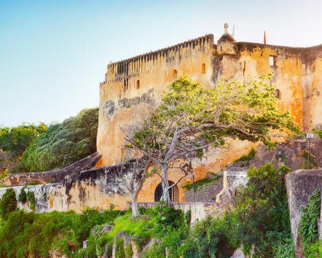 Von wilden Safaris bis zu weißen Stränden