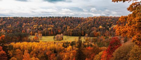Panorama einer Herbstlandschaft in Sigulda in Lettland