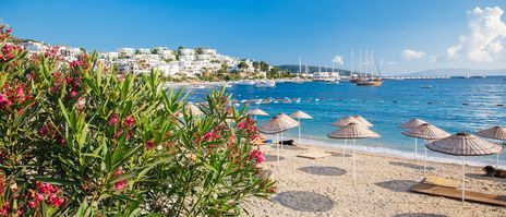 Blick auf einen Küstenort bei Bodrum mit blühenden Pflanzen und tiefenblauem Mittelmeer
