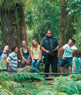 Gruppe im Regenwald in Neuseeland