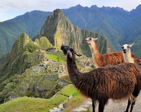 Zwischen Gipfeln, Regenwald und Wasserfällen unterwegs-0