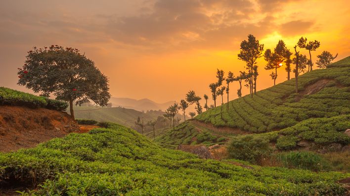 Blick auf Munnar bei Sonnenuntergang