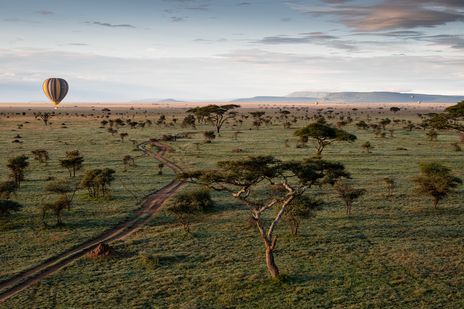 Luftaufnahme der Serengeti mit Heißluftballon über weiten Ebenen und Tierherden