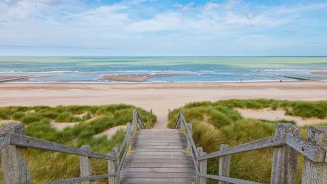 Dünenlandschaft an der belgischen Nordseeküste in Flandern