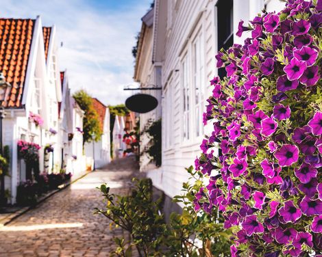 Kreuzfahrt mit Costa Diadema ab/an Kiel-3