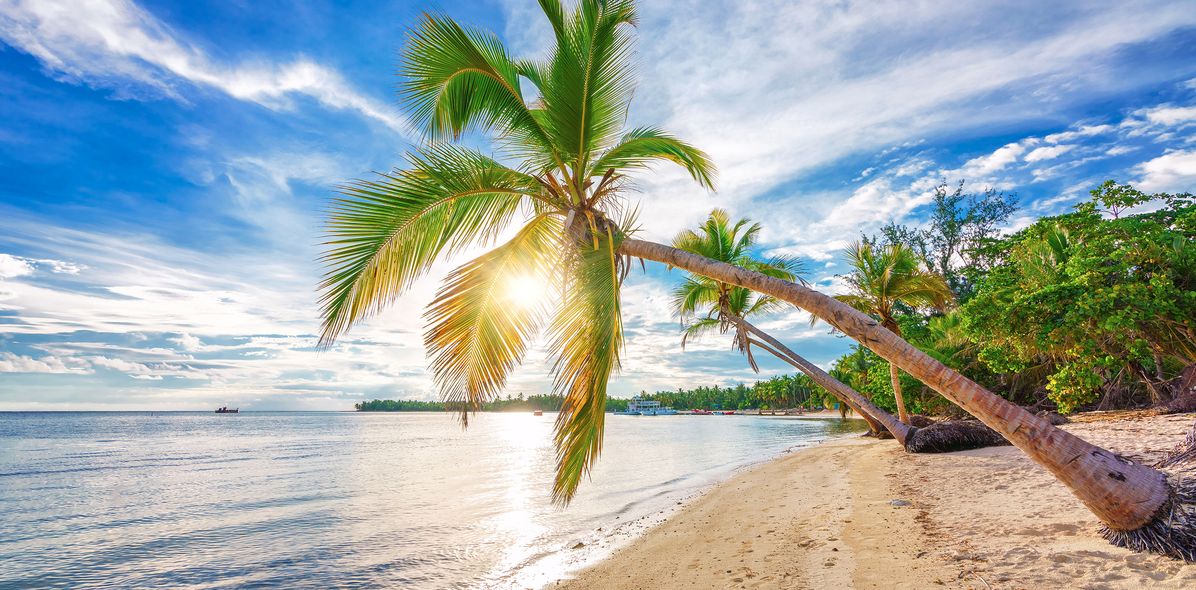 Strand mit Palmen in der Dominikanischen Republik