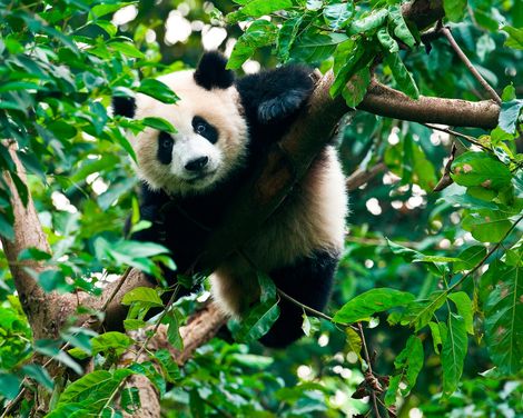 Von Kaiserpalästen bis zur Seidenstraße-3